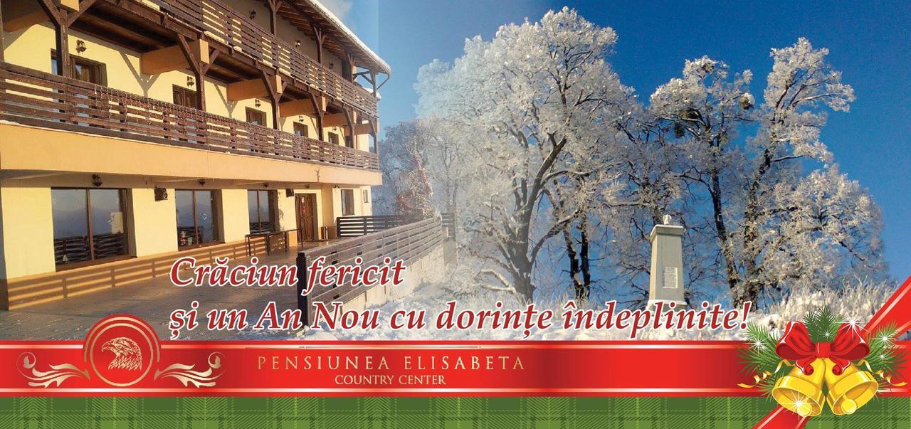 Pensiunea Elisabeta Merghindeal Экстерьер фото