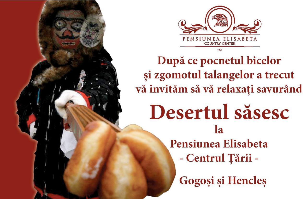 Pensiunea Elisabeta Merghindeal Экстерьер фото